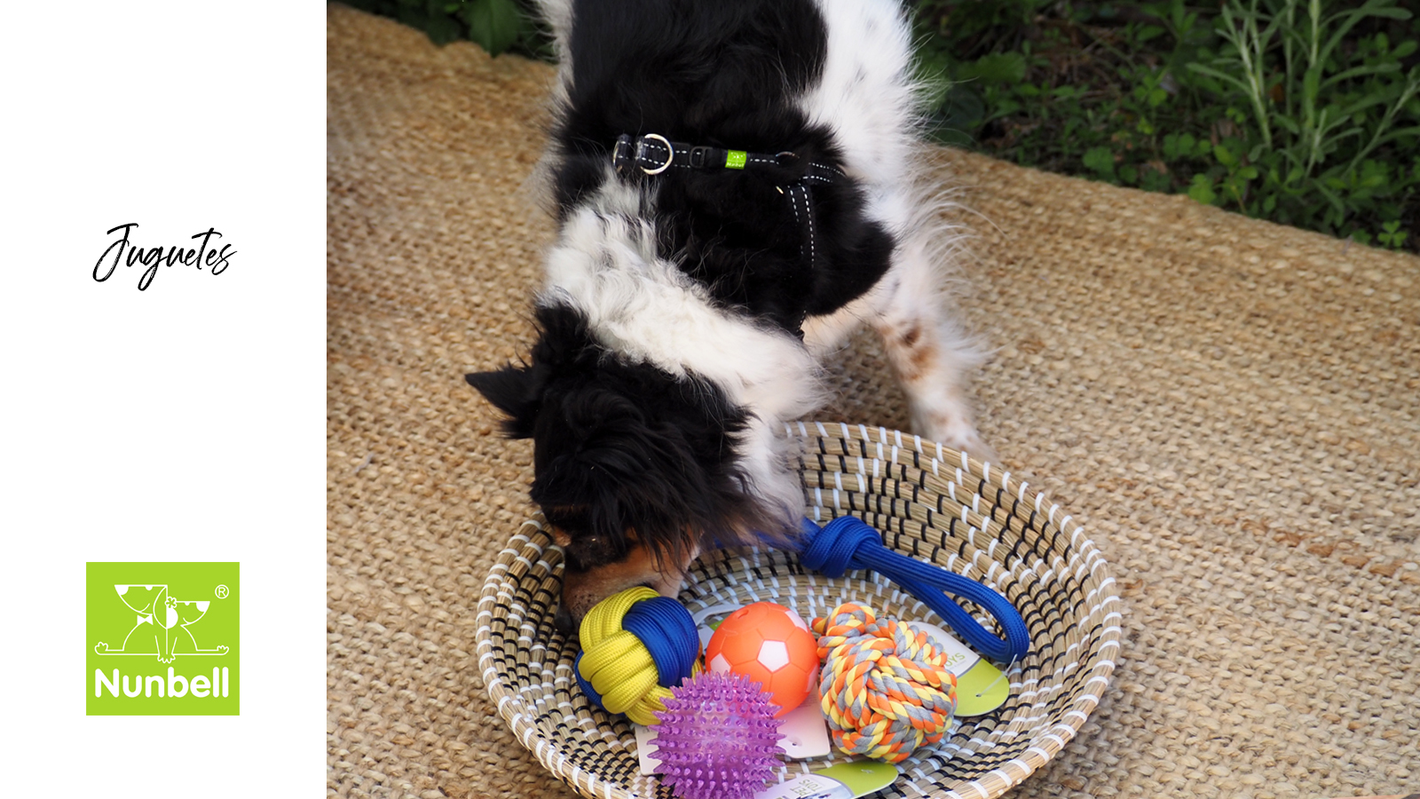 NUMBELL Haustierspielzeug