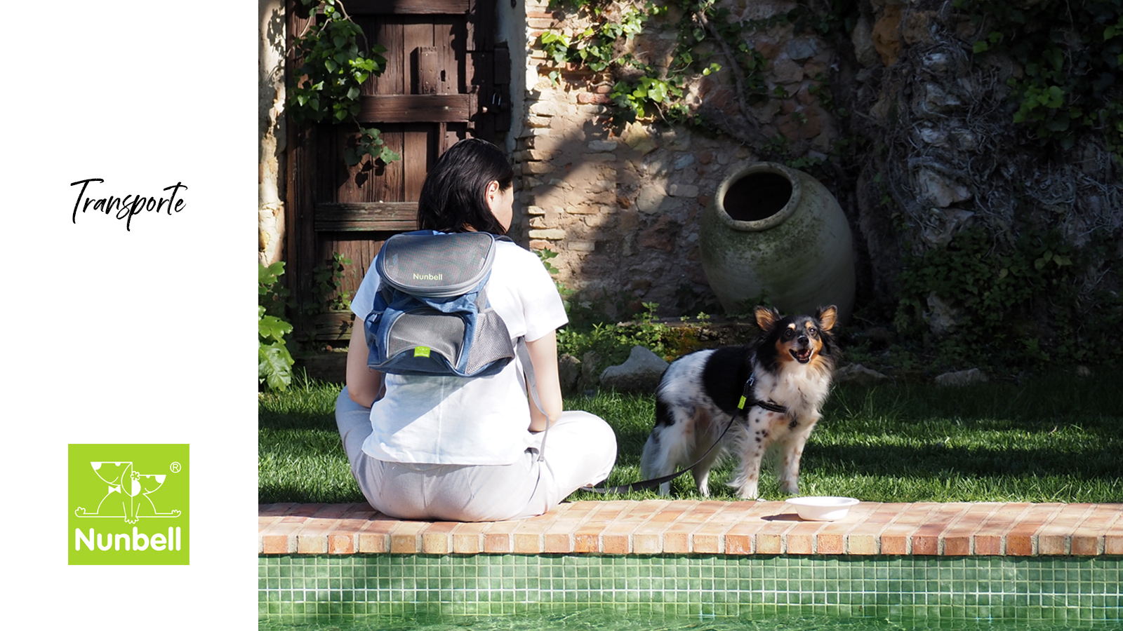 Transportboxen für Haustiere