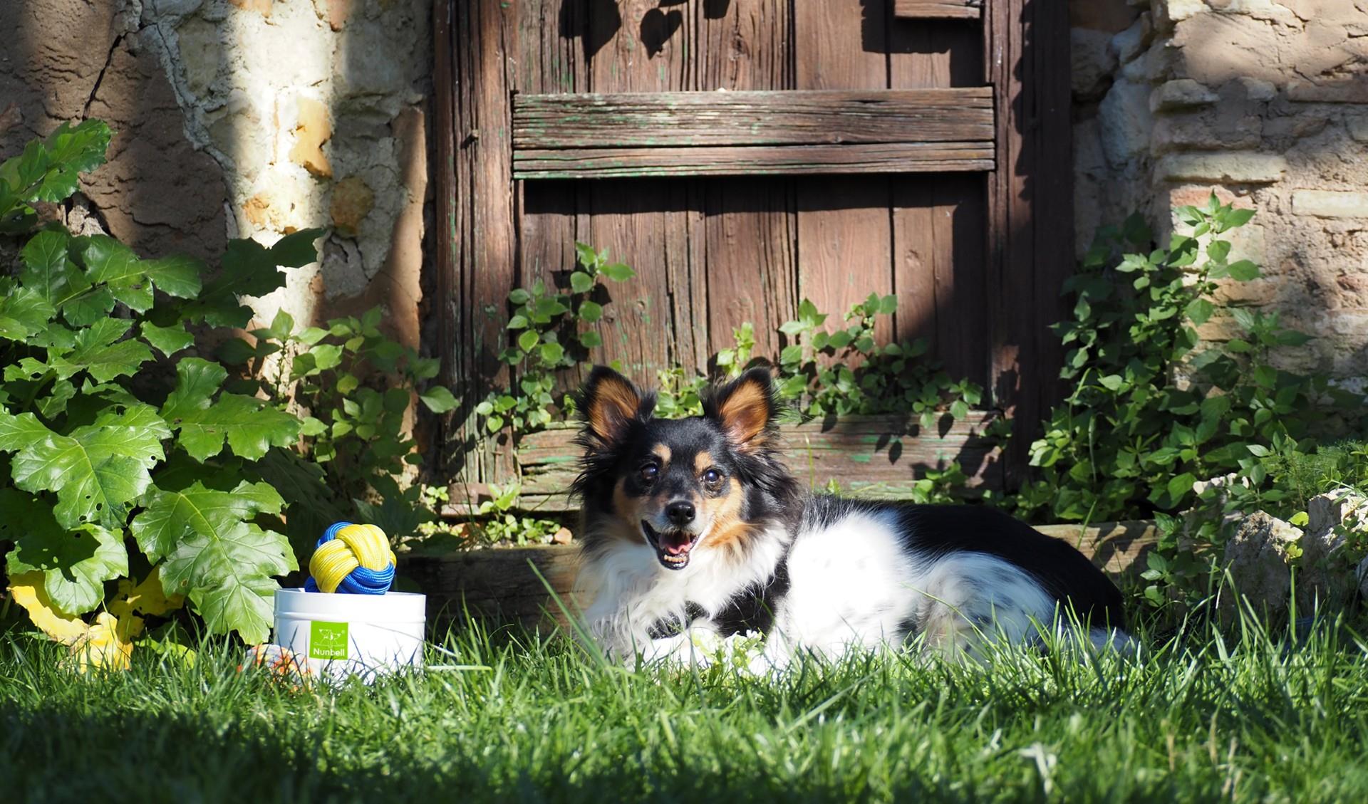 thumbnail_SLIDE NUMBELL