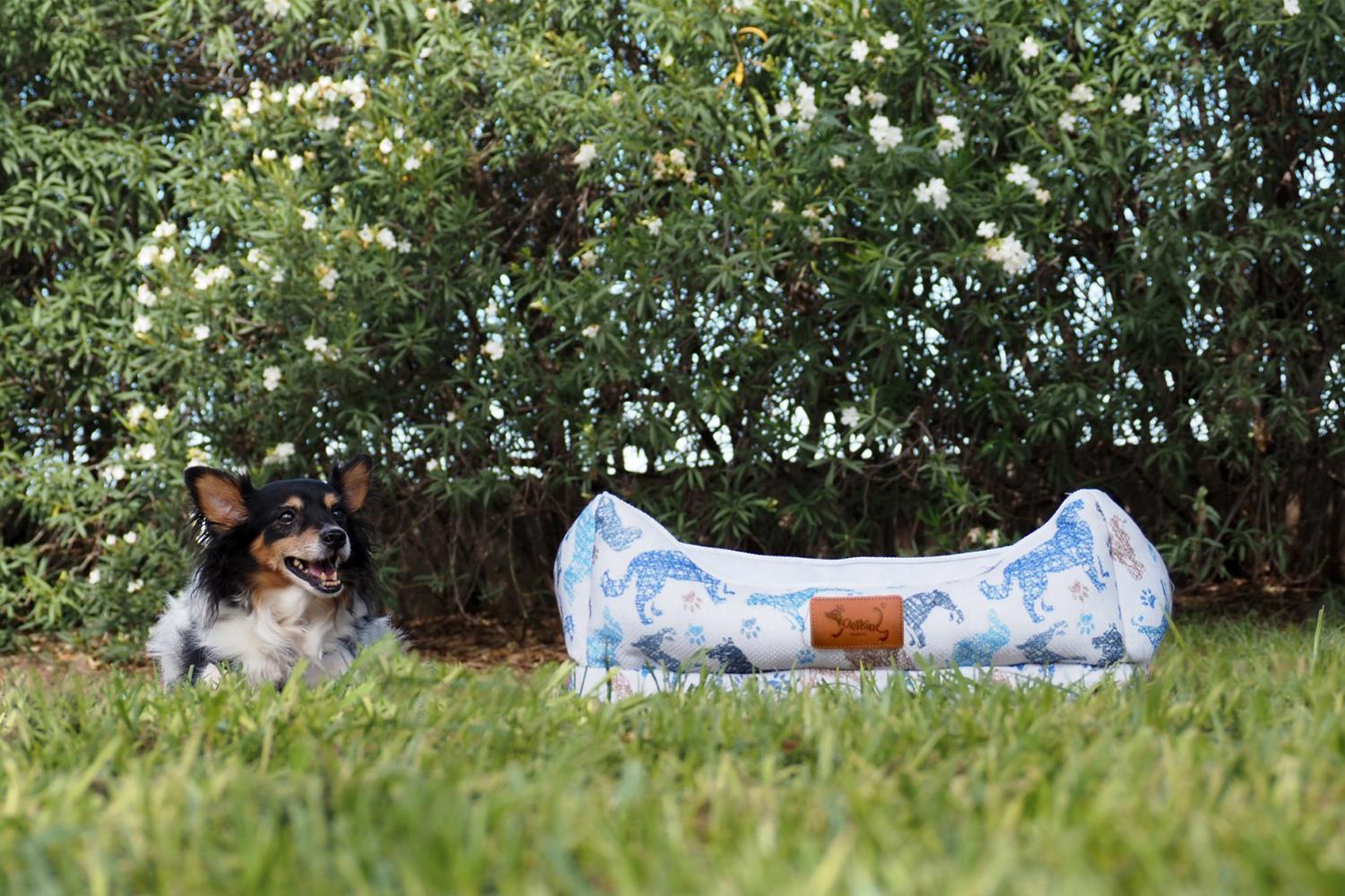 thumbnail_SLIDE PETKING 2