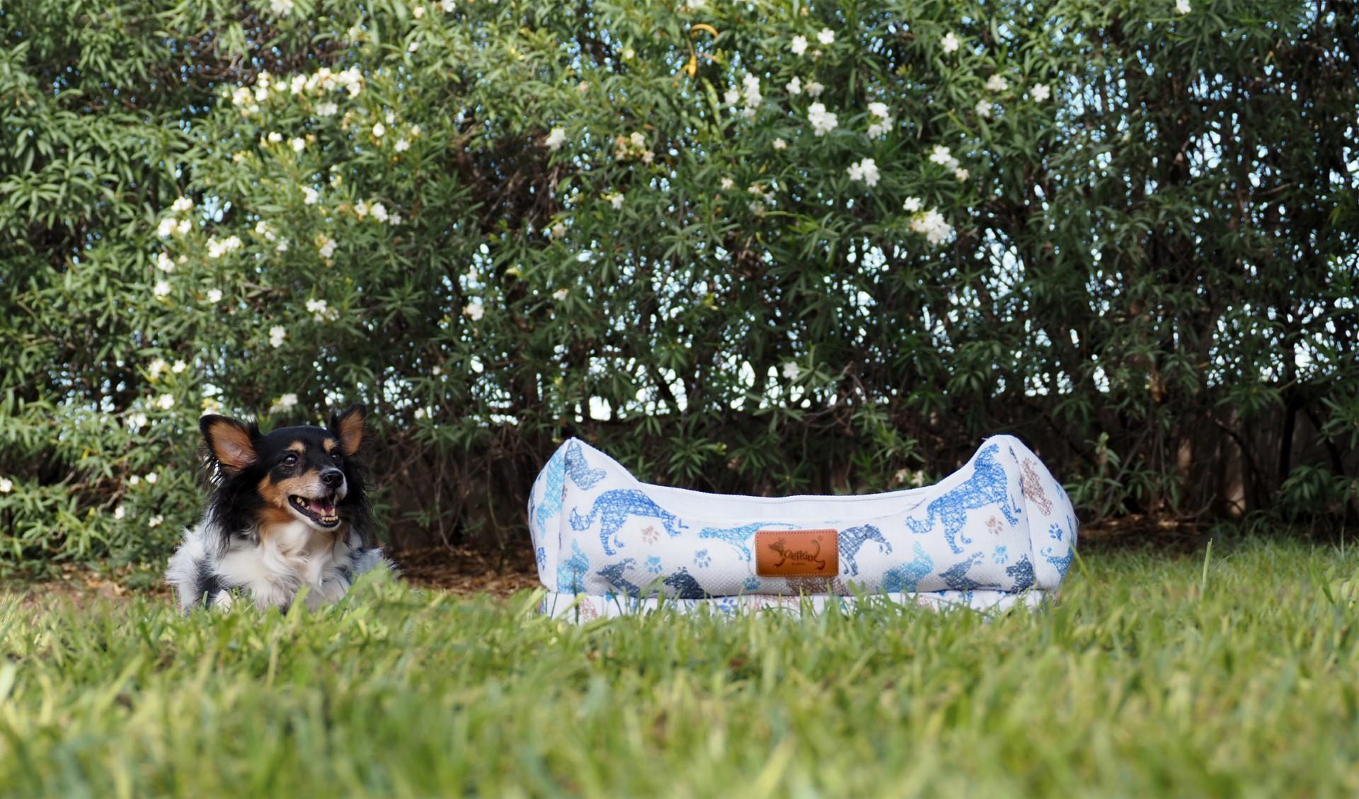 thumbnail_SLIDE PETKING