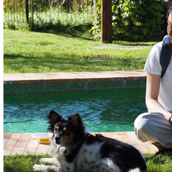 comederos y bebederos para mascotas