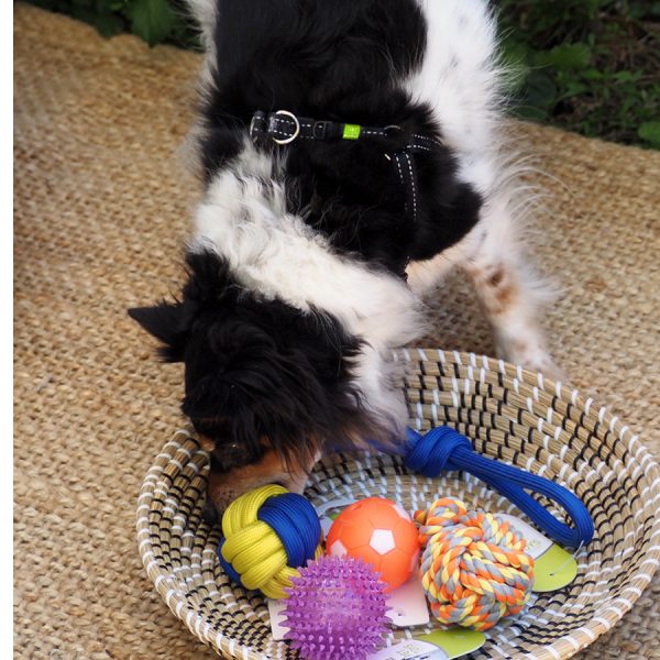 NUMBELL juguetes para mascotas