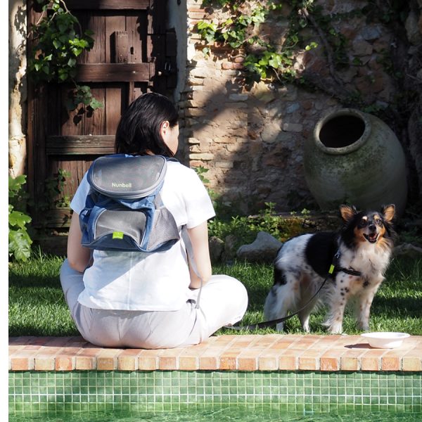 transportines para mascotas